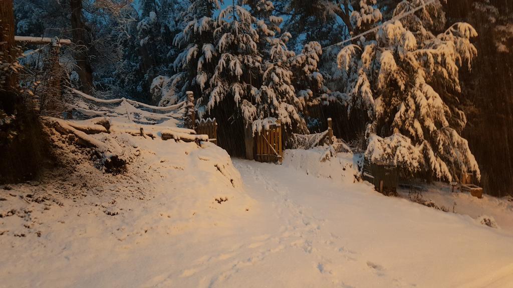 Villa Magda Villa La Angostura Esterno foto